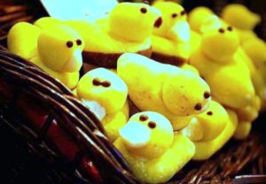 A Mazsola sárga kacsái
